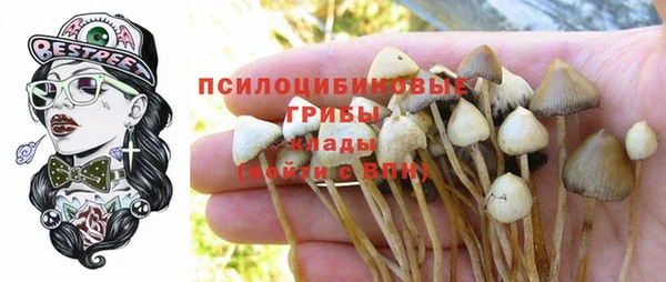 твердый Абинск