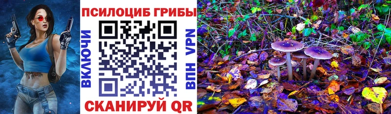 Псилоцибиновые грибы прущие грибы  Брюховецкая 
